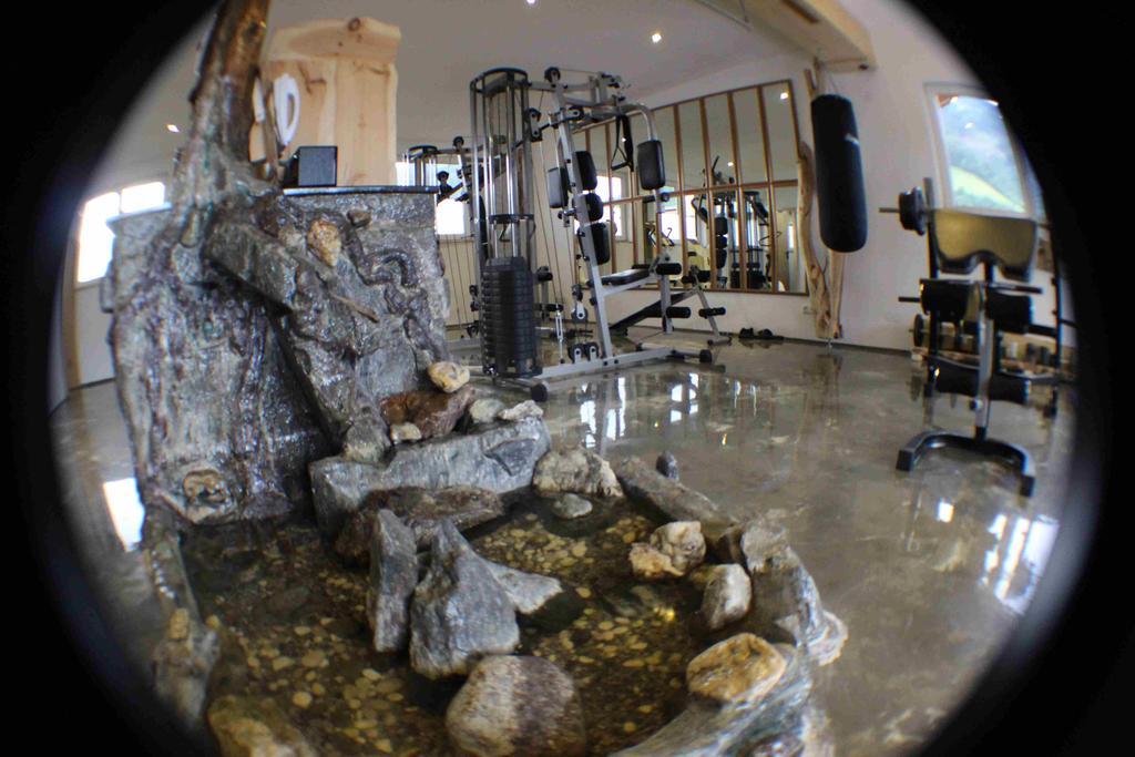 Gasthof Zum Loewen Aschau Im Zillertal Ngoại thất bức ảnh